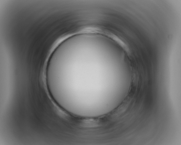X0000113931478200910021232