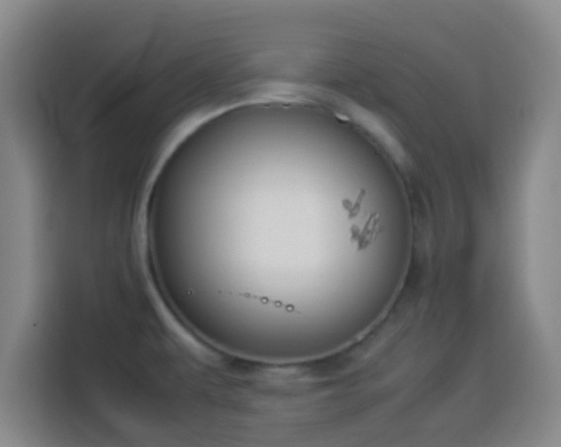 X0000113931479200910021232