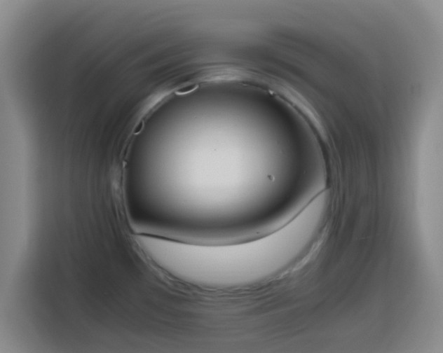 X0000113931481200910021232