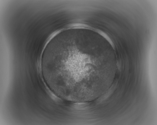 X0000113931482200910021232