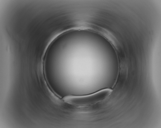 X0000113931484200910021232