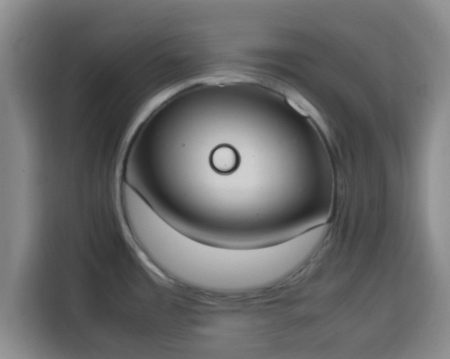 X0000113931485200910021232