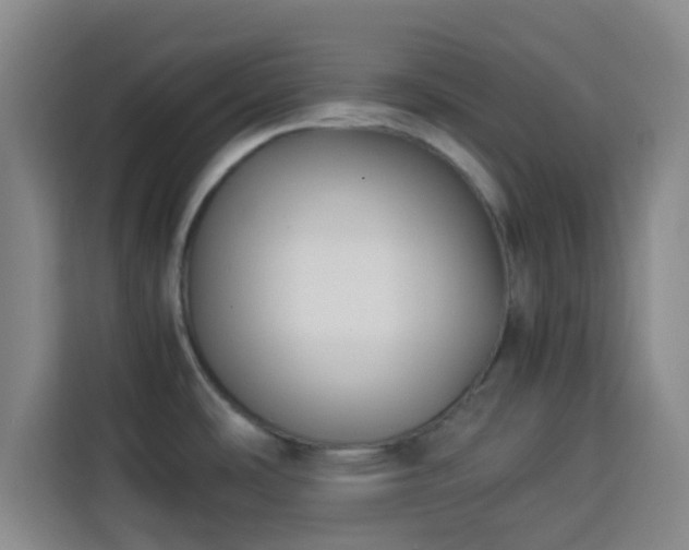 X0000113931486200910021232