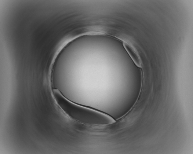 X0000113931488200910021232