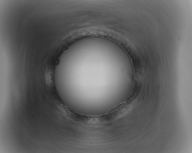 X0000113931490200910021232