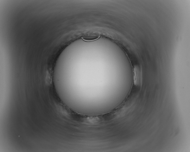 X0000113931491200910021232