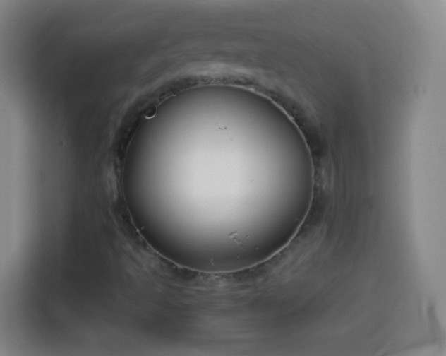 X0000113931493200910021232