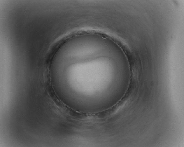 X0000113931494200910021232