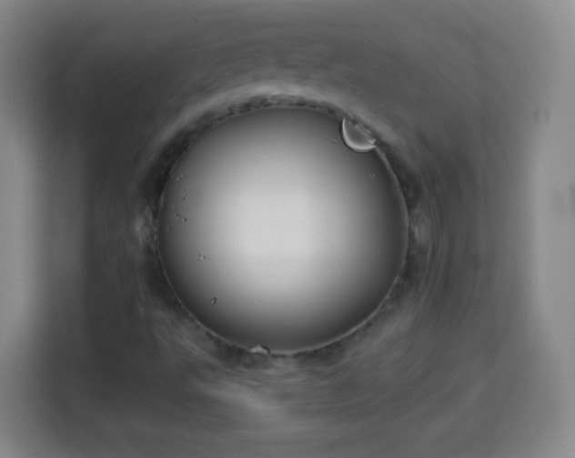 X0000113931495200910021232