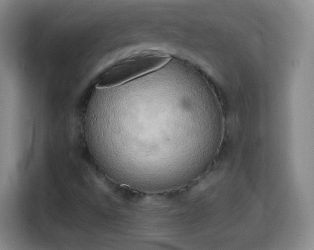X0000113931496200910021232