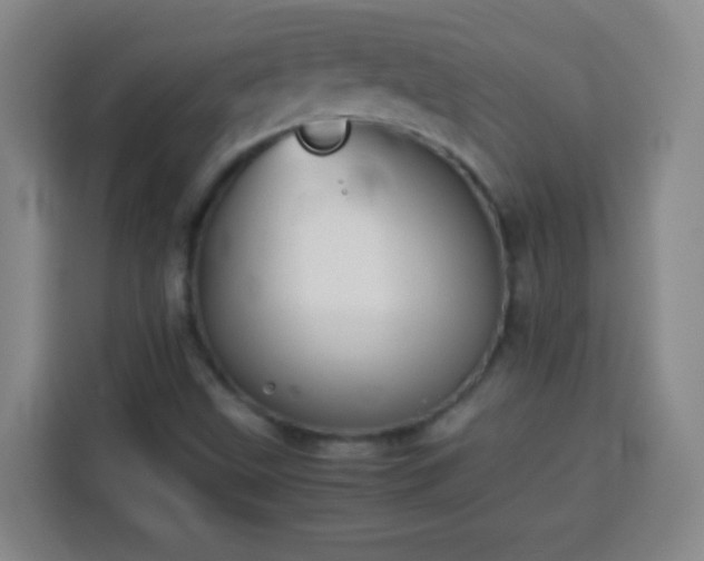 X0000113931499200910021232