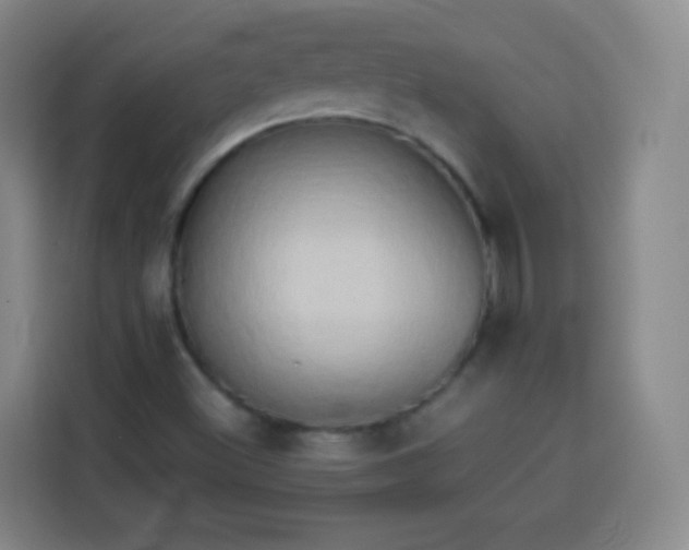 X0000113931500200910021232