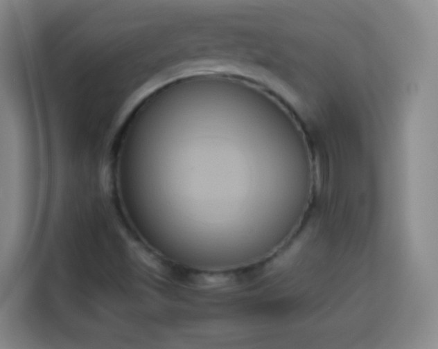 X0000113931501200910021232