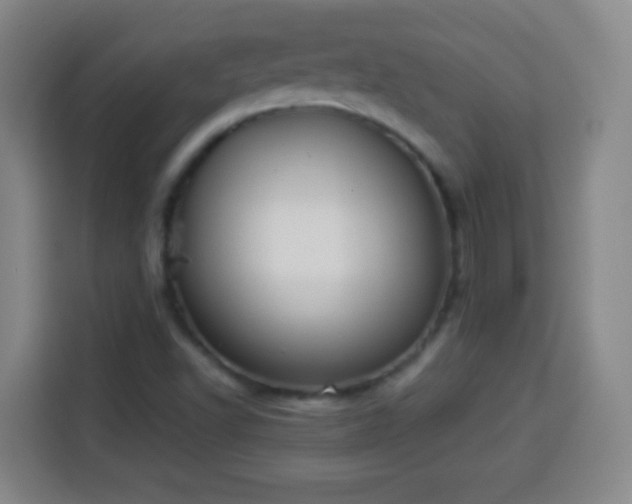 X0000113931502200910021232