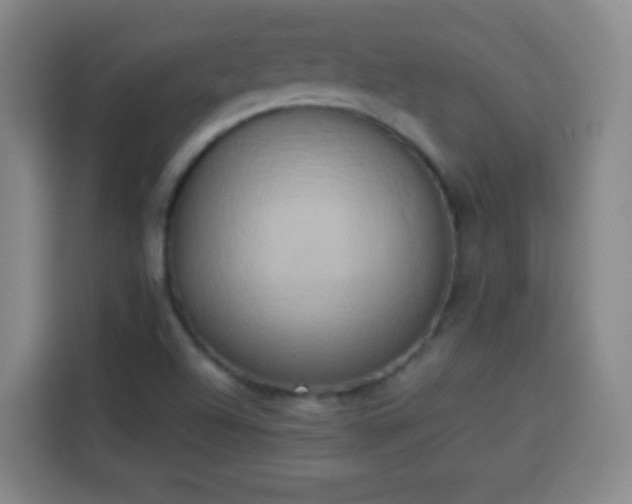 X0000113931504200910021232