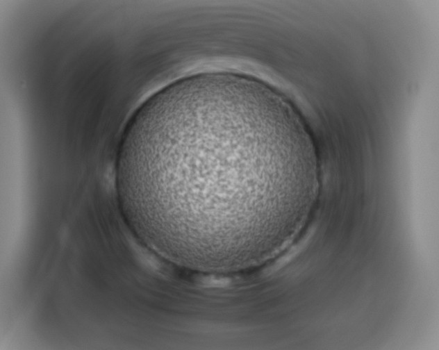 X0000113931505200910021232