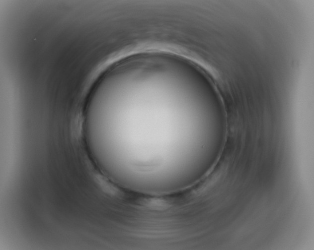 X0000113931507200910021232