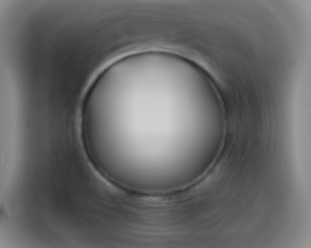 X0000113931508200910021232