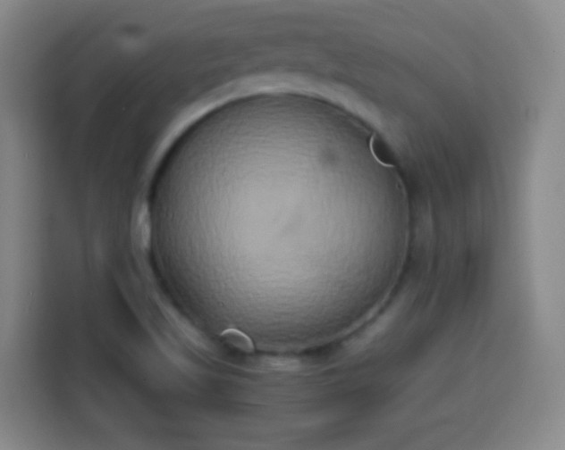 X0000113931509200910021232