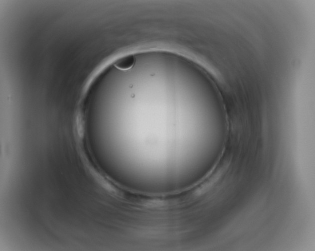 X0000113931510200910021232