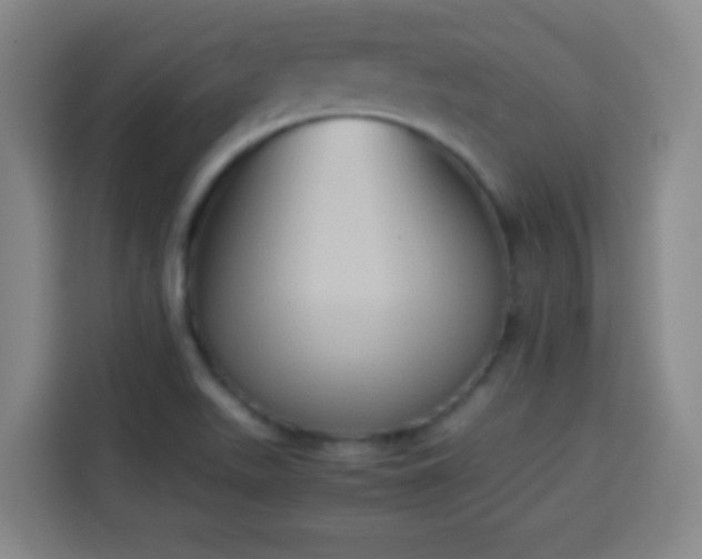 X0000113931511200910021232