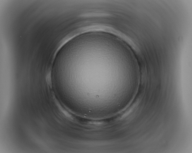 X0000113931513200910021232