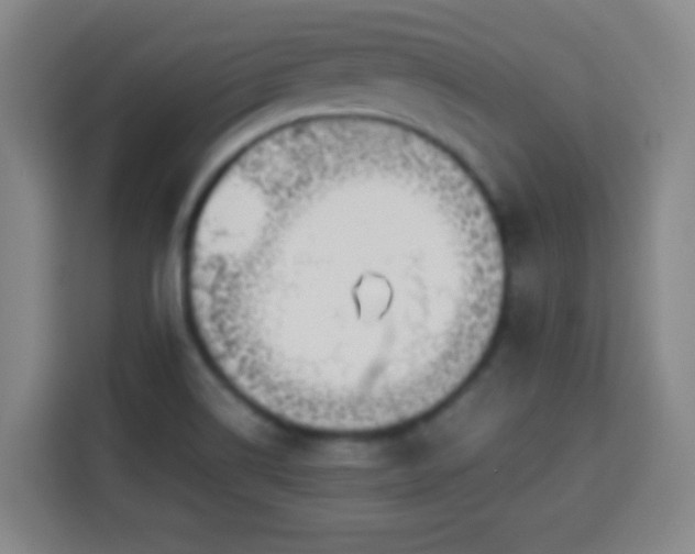 X0000113931514200910021232