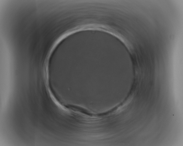 X0000113931515200910021232