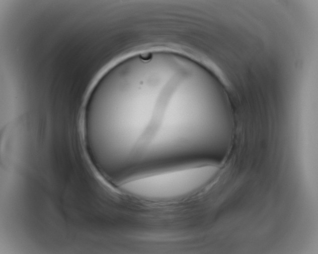 X0000113931516200910021232