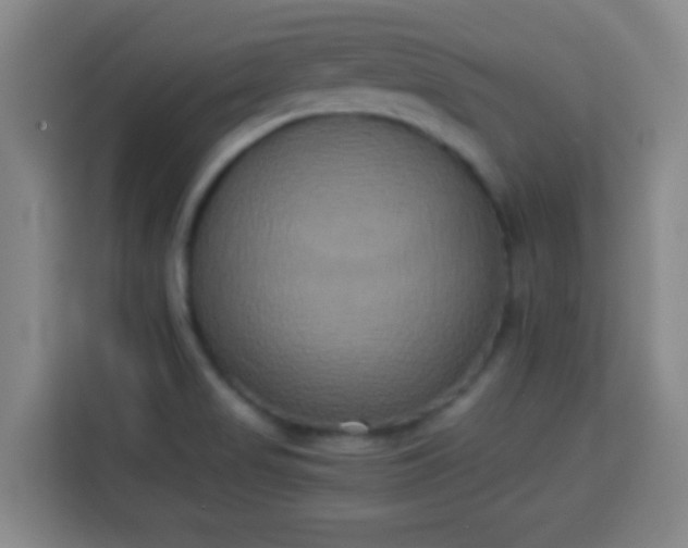 X0000113931517200910021232