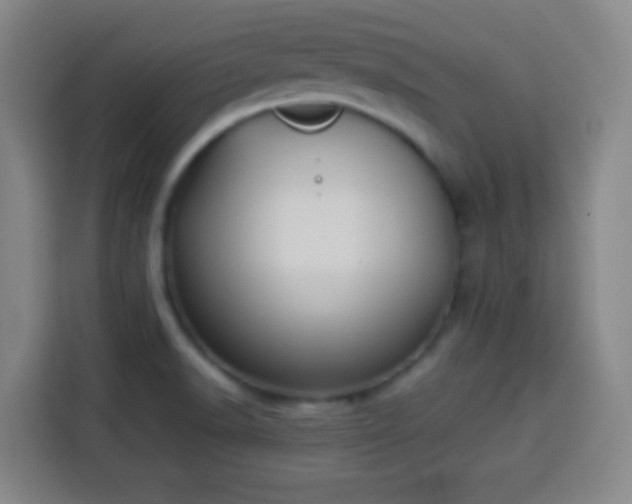 X0000113931518200910021232