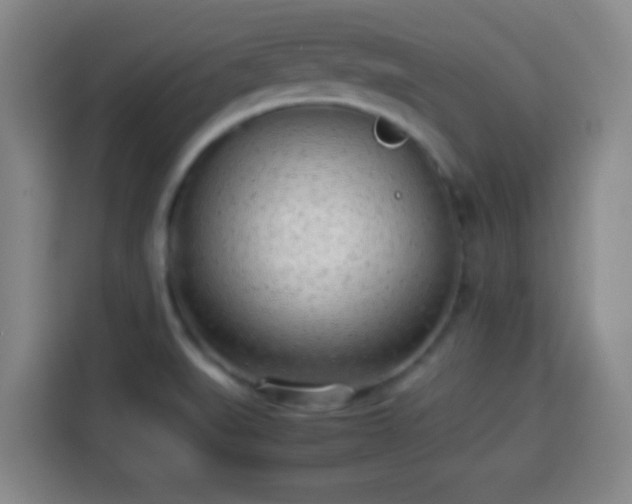X0000113931519200910021232