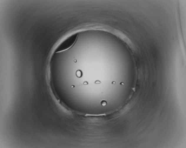 X0000113931520200910021232