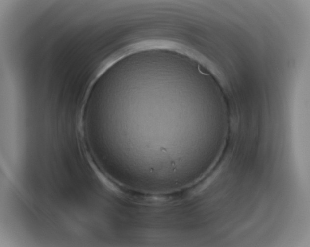 X0000113931521200910021232