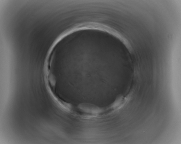 X0000113931522200910021232