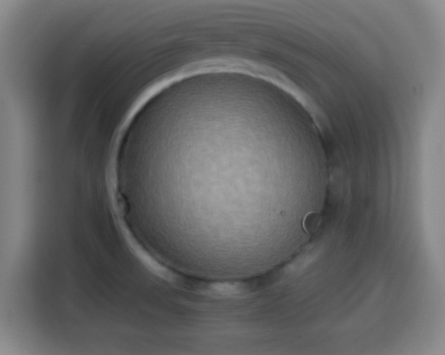 X0000113931523200910021232
