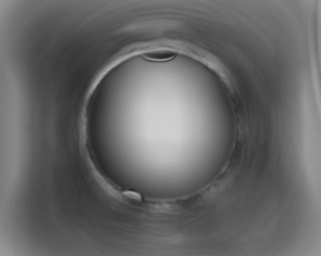 X0000113931524200910021232