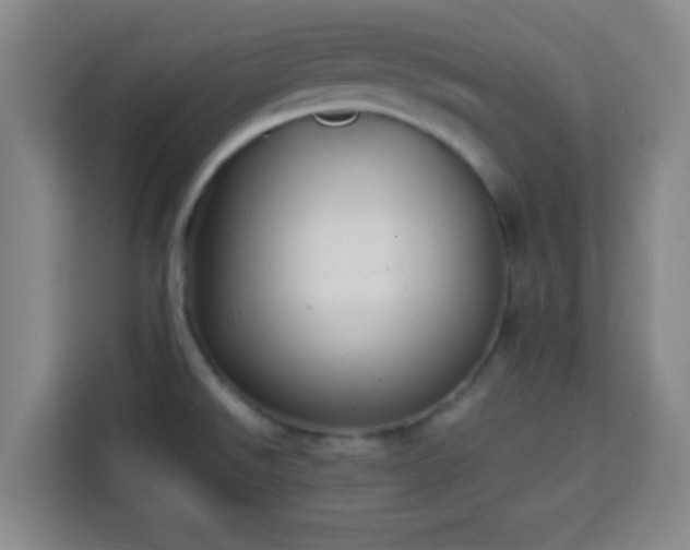 X0000113931526200910021232