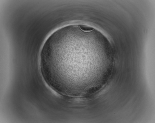 X0000113931527200910021232