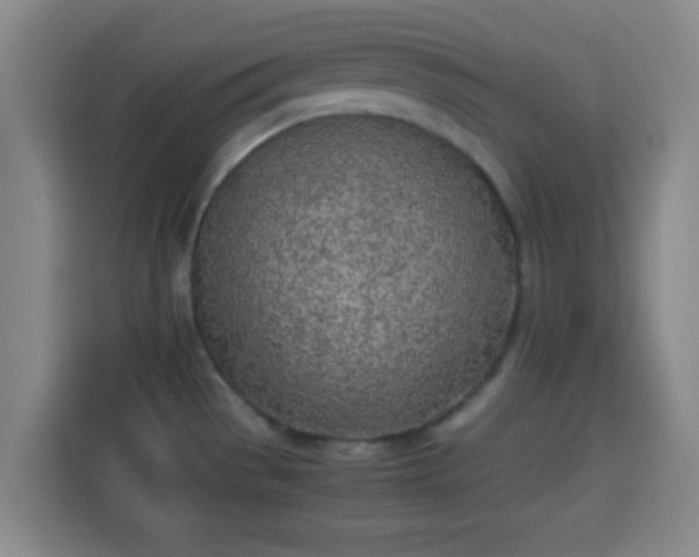 X0000113931529200910021232