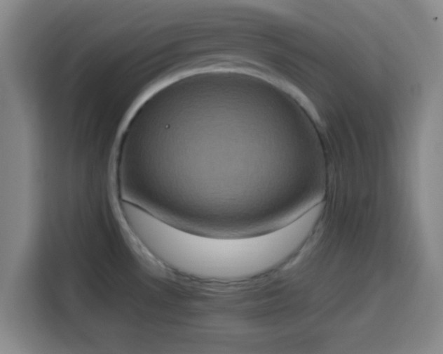 X0000113931530200910021232