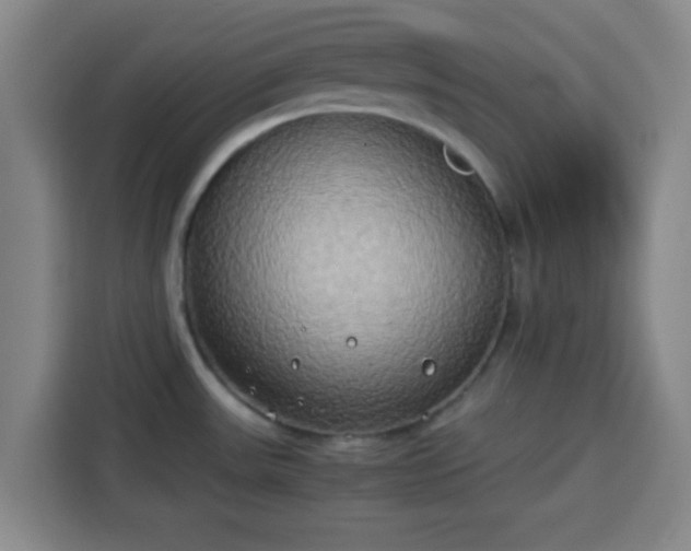 X0000113931531200910021232