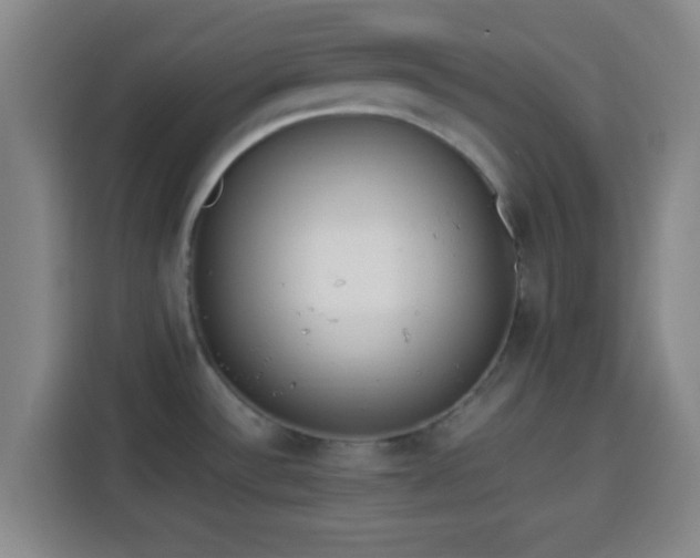 X0000113931532200910021232
