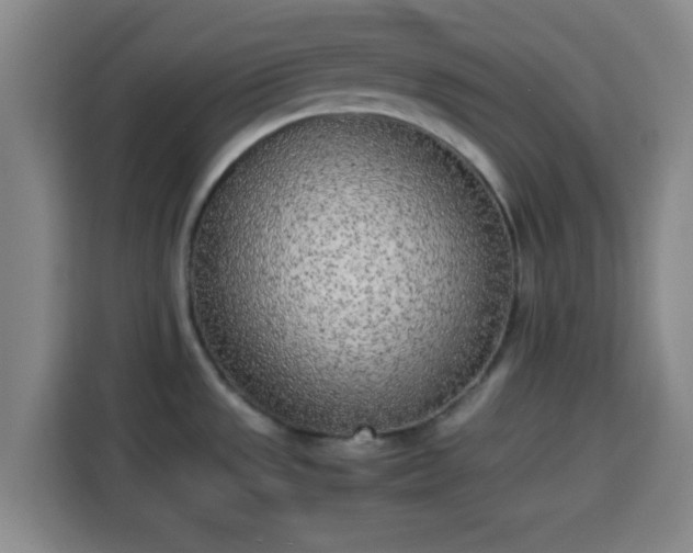 X0000113931533200910021232