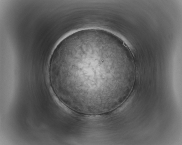 X0000113931534200910021232