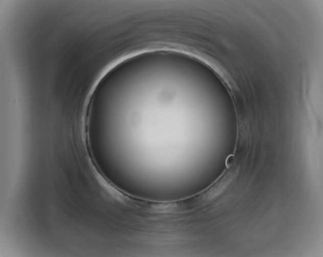 X0000113931535200910021232