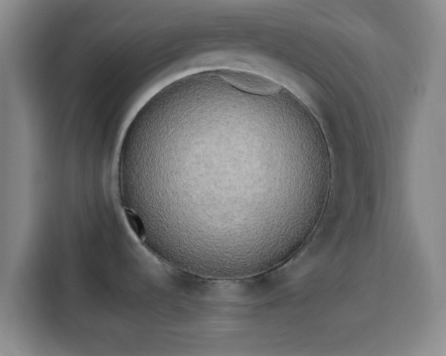 X0000113931536200910021232