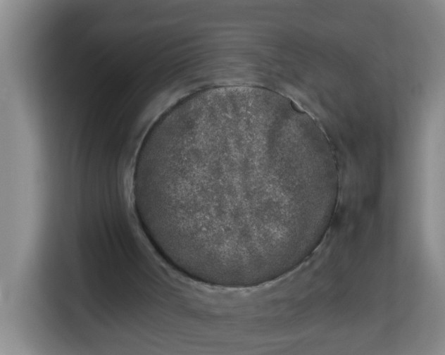 X0000113930002200910091612