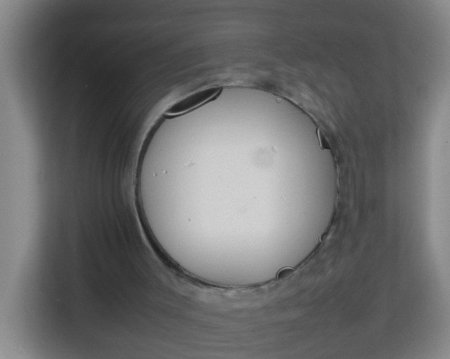 X0000113930003200910091612