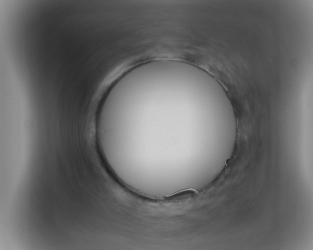 X0000113930005200910091612